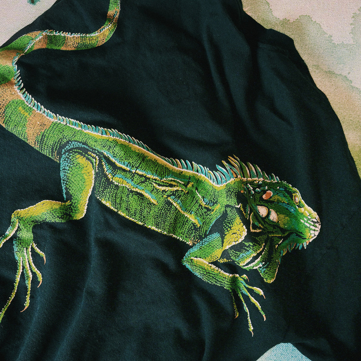 Defend Vintage Belize Iguana