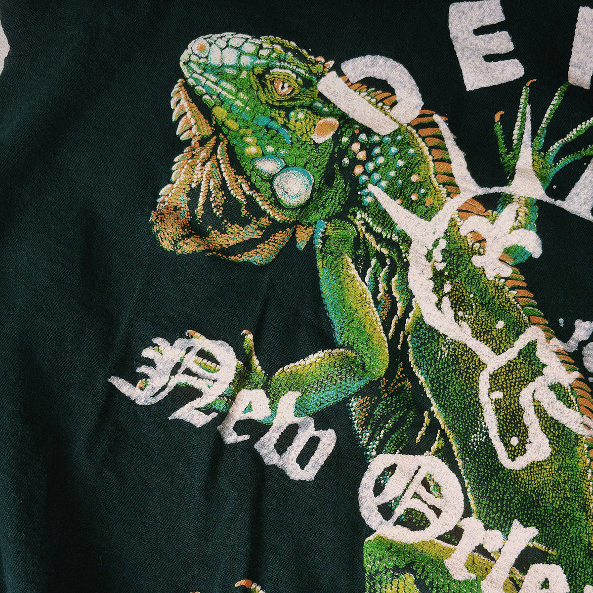 Defend Vintage Belize Iguana