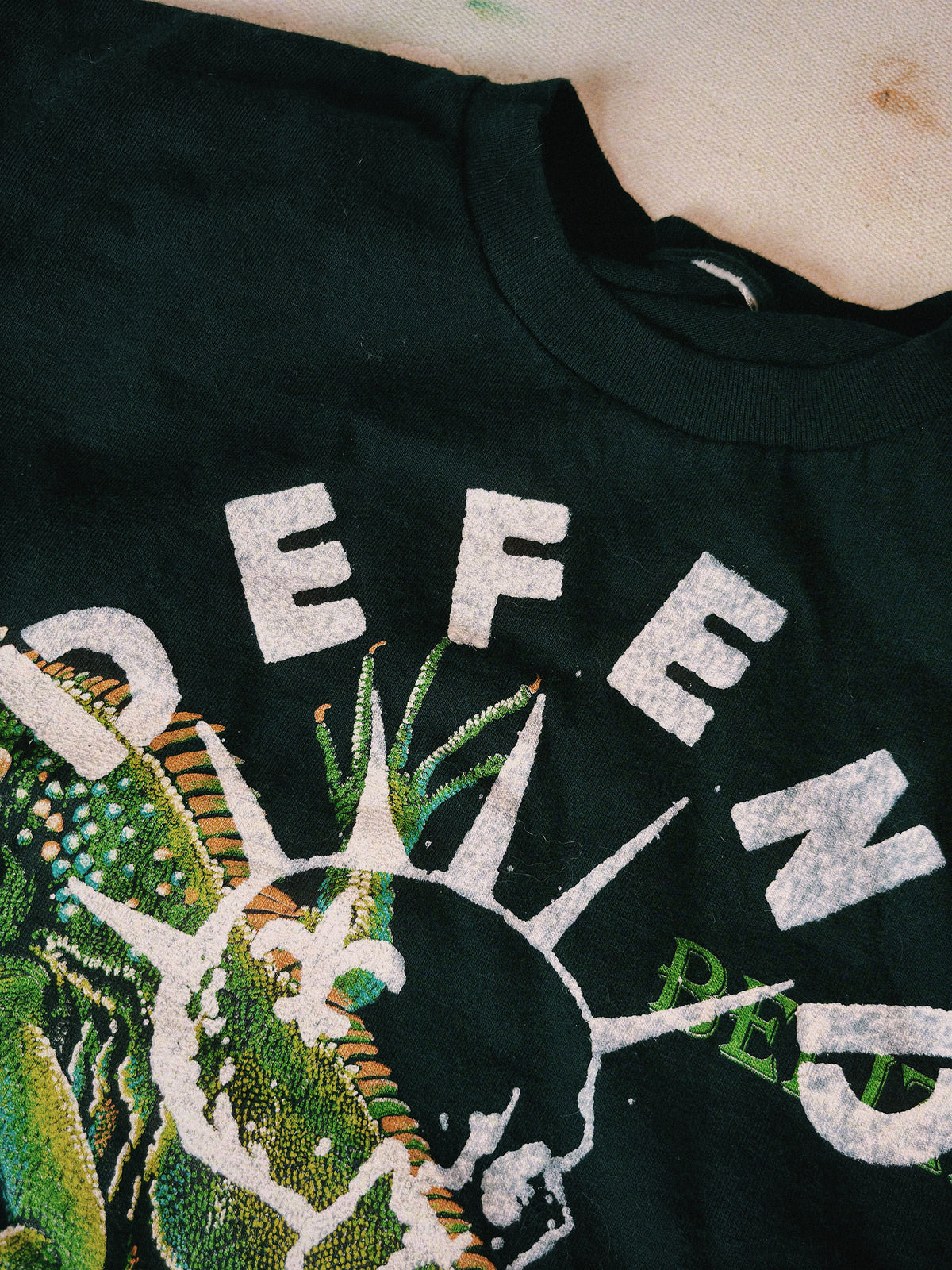 Defend Vintage Belize Iguana