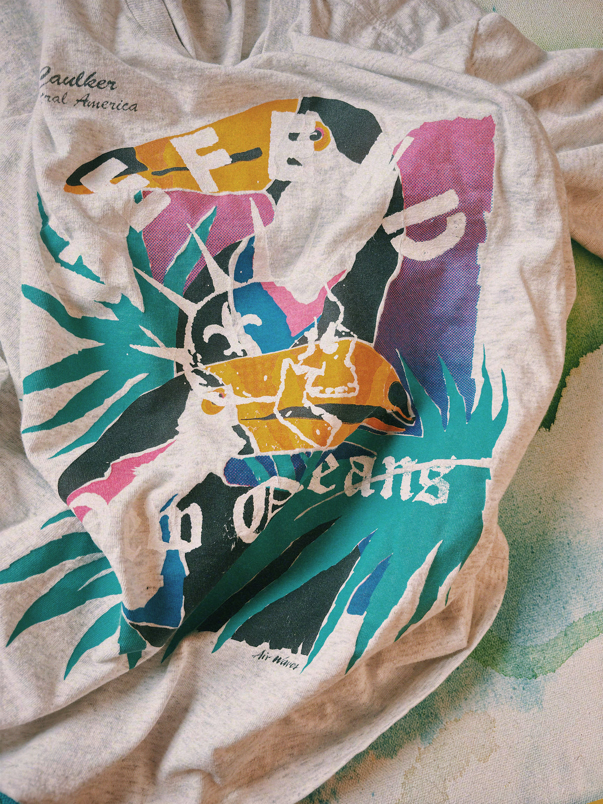 Defend Vintage Island Toucans
